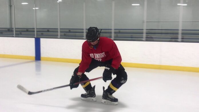 -hockey-lea-nhl-logo-emblem