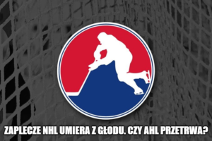 Zaplecze NHL umiera z głodu. Czy AHL przetrwa?