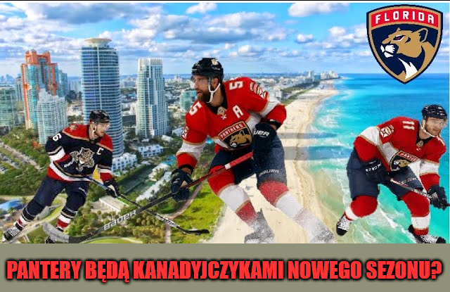 Przechwytywanie15591