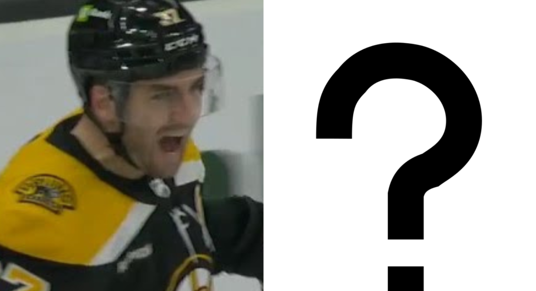 To oni przejmą w NHL schedę po Bergeronie? 5 kandydatów do Selke Trophy 23/24