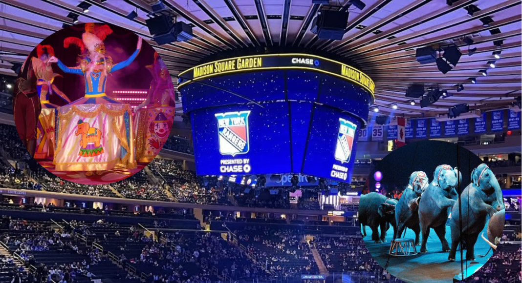 Szok. Cyrk ważniejszy od meczu o mistrzostwo NHL