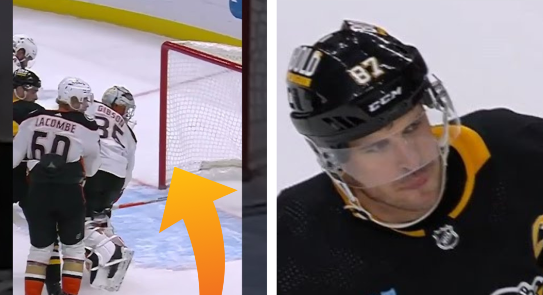 Nocna Zmiana z NHL: Kot zrzucony ze skarpy i piękne plecy bramkarza