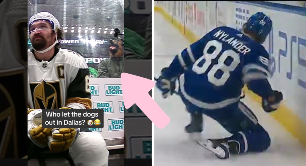 Nocna Zmiana z NHL. Wystarczyło naszczekać. Teoria dla debili