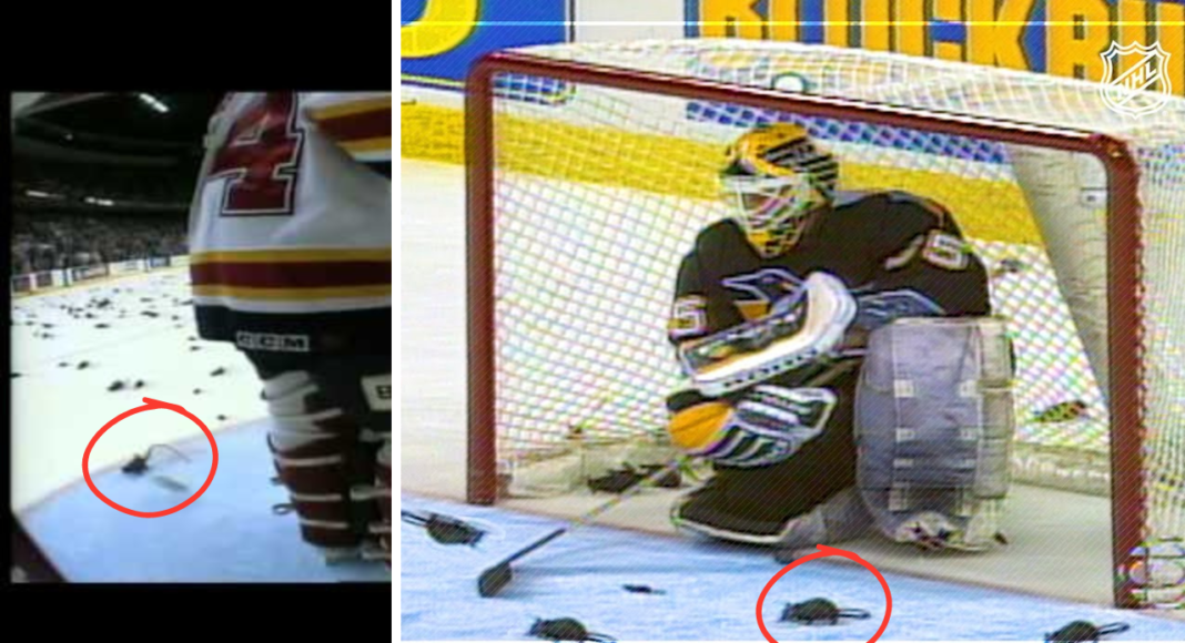 WIDEO. Rok Szczura w NHL. Najlepsze play-offy w historii Panthers. Aż do teraz!
