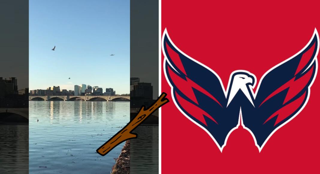 Wolny rynek NHL. Zawracanie kijem Potomaku? Niekoniecznie. Ambitne ruchy Capitals