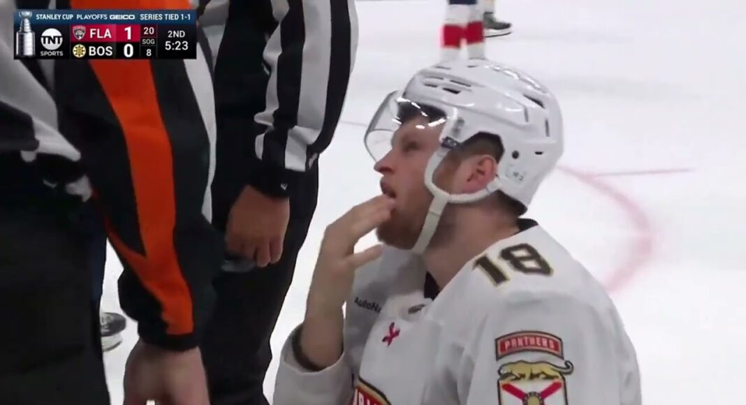 Testowe kontrakty w NHL. Świeżo upieczony mistrz na próbę w Toronto!
