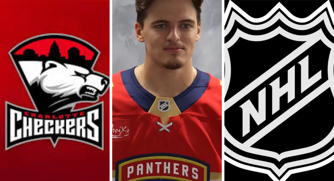 Maciaś na próbę w AHL! Mocni rywale w walce o skład na zapleczu NHL