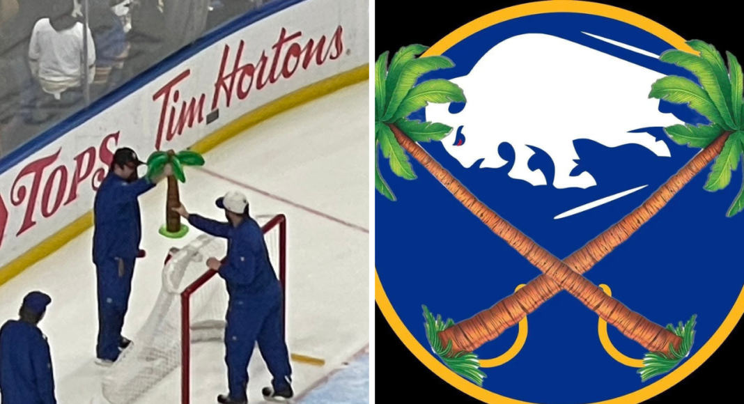 Najsmutniejszy klub NHL. Upadek totalny. A jego symbolem… palma
