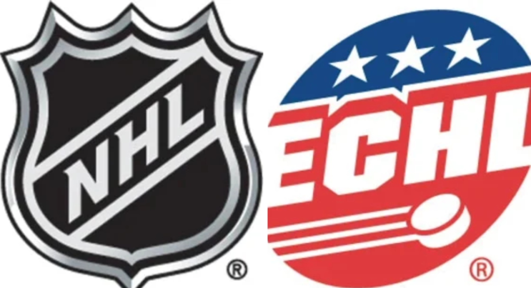 TOP5 graczy w NHL, którzy byli gwiazdami ECHL