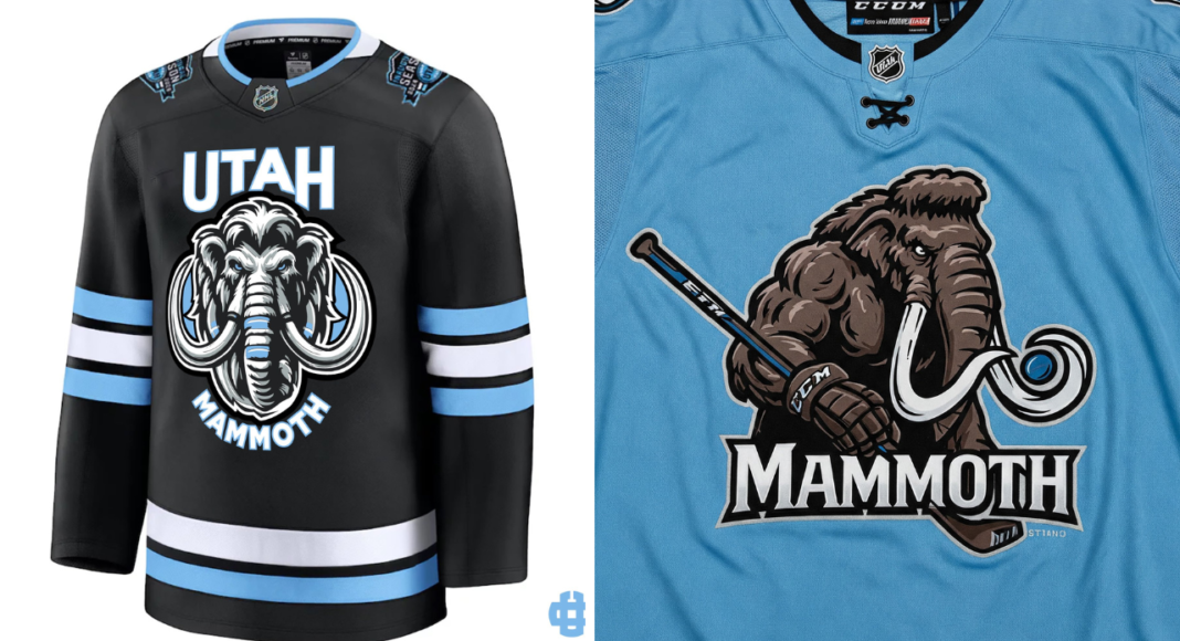 Nie mają nazwy w NHL i… tak może zostać! Klątwa z Arizony