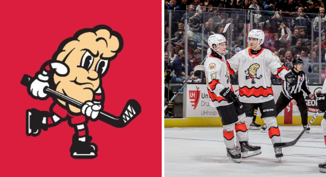 Poznajcie ekipę o przydomku Pierogi! Mocny polski wątek na zapleczu NHL