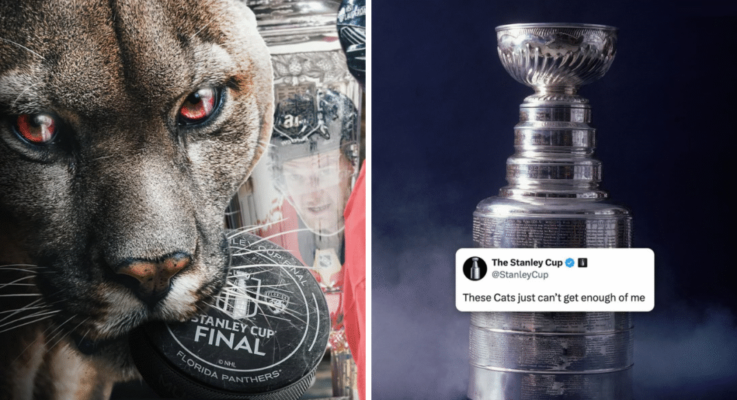 Nocna Zmiana z NHL. Mamy pierwszego finalistę! W końcu MECZYCHO
