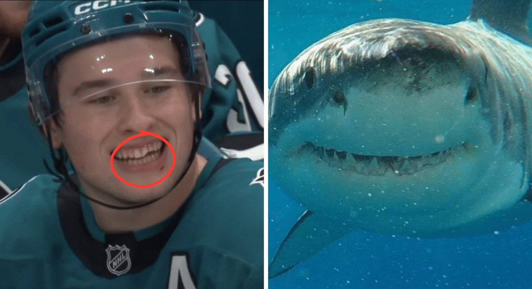 Nocna Zmiana z NHL: Łysy z Bra… z NY. Piękny uśmiech rekina. Hokej
