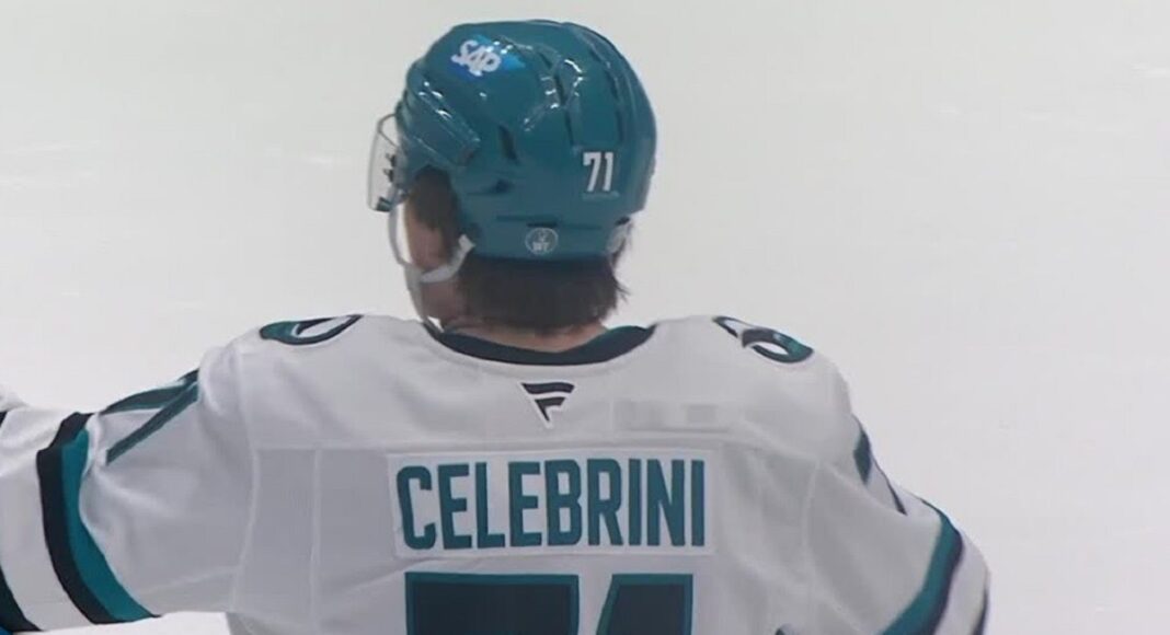 Nocna Zmiana z NHL: Wznowienie wygrane drugą stroną kija. Hokej