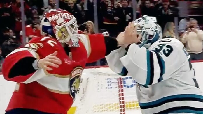 hokej-nhl-bobrowski-bojka-bramkarzy