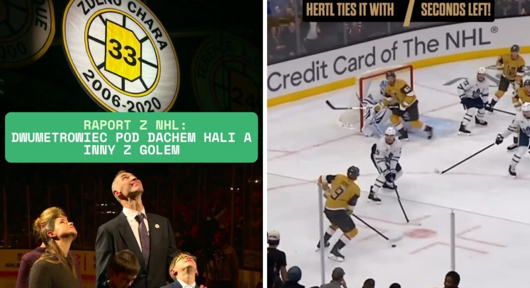 Raport z NHL: Dwumetrowiec pod dachem hali a inny z golem. Hokej