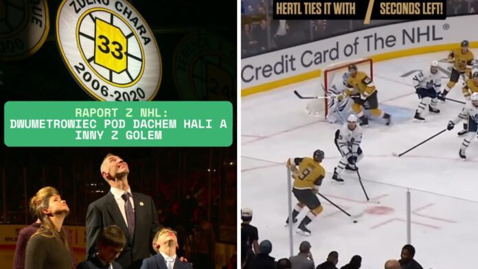hokej-nhl-zdeno-chara-dwa-metry-logan-stanley