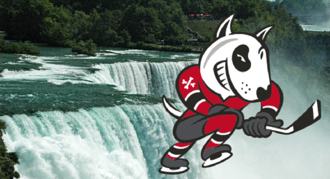Płacili pod stołem? Afera wielka jak Niagara. Zakazana rekrutacja hokeistów!