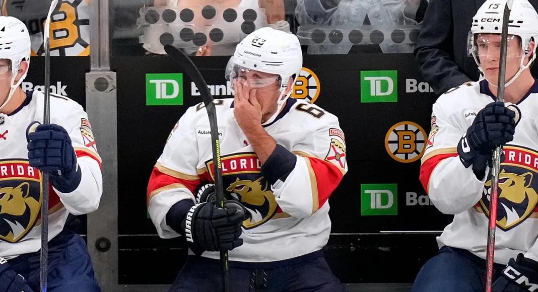 Hokej to nie olimpiada matematyczna. Kogo i za co kochają kibice NHL?